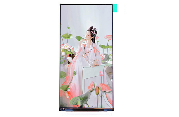 電阻觸摸顯示屏的工作原理、優(yōu)勢(shì)特點(diǎn)、應(yīng)用領(lǐng)域和未來發(fā)展趨勢(shì)