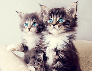 測(cè)繪CAD丨批量標(biāo)注坐標(biāo)，你不需要嗎？