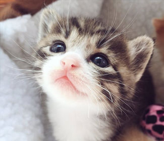 測繪CAD丨批量標注坐標，你不需要嗎？